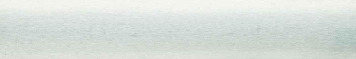 1-J06 silber