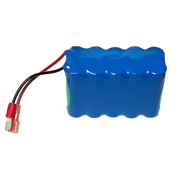 ZEL Akku 12 V/2,1Ah RT2 SF G1/RT1/DS1000-1